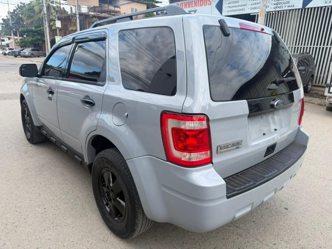 WhatsApp Image 2026-02-05 at 3.10.40 PM (2)