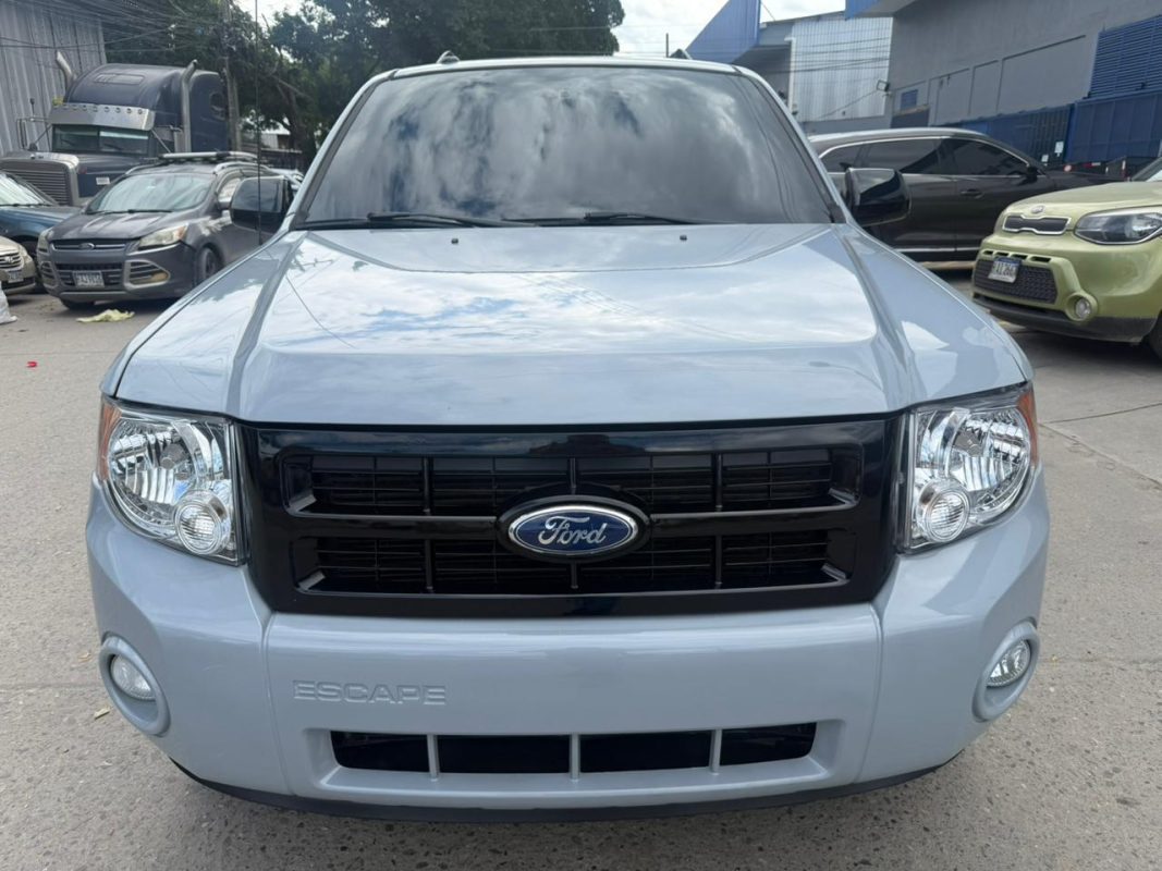 WhatsApp Image 2026-02-05 at 3.10.40 PM