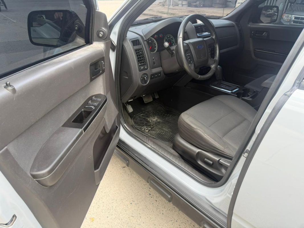 WhatsApp Image 2026-02-05 at 3.10.41 PM (1)