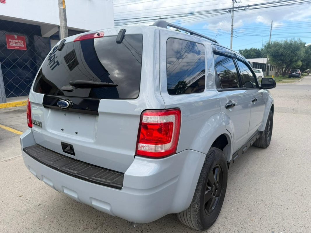 WhatsApp Image 2026-02-05 at 3.10.41 PM