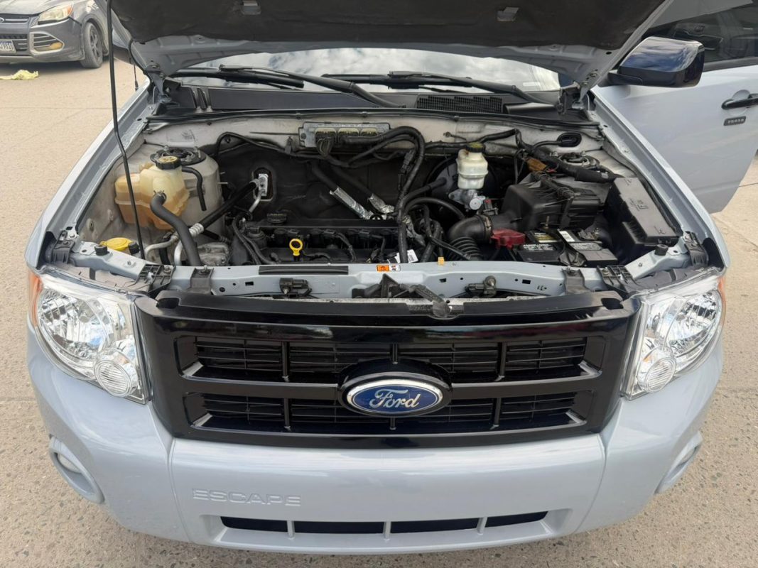 WhatsApp Image 2026-02-05 at 3.10.43 PM (1)