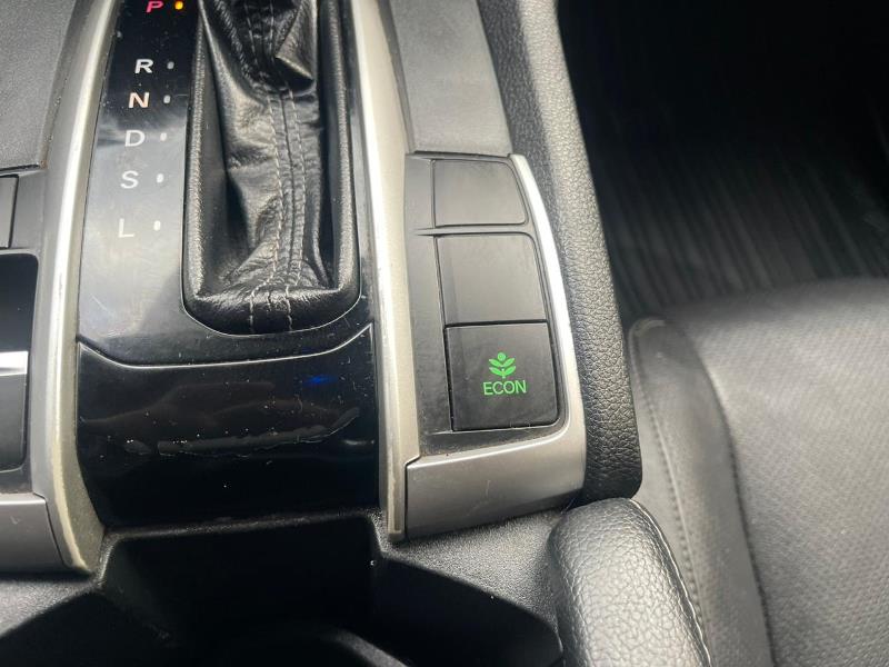 WhatsApp Image 2026-02-05 at 3.16.07 PM (1)