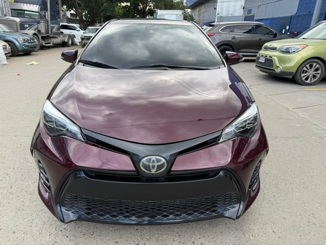 WhatsApp Image 2026-02-05 at 3.41.26 PM (1)