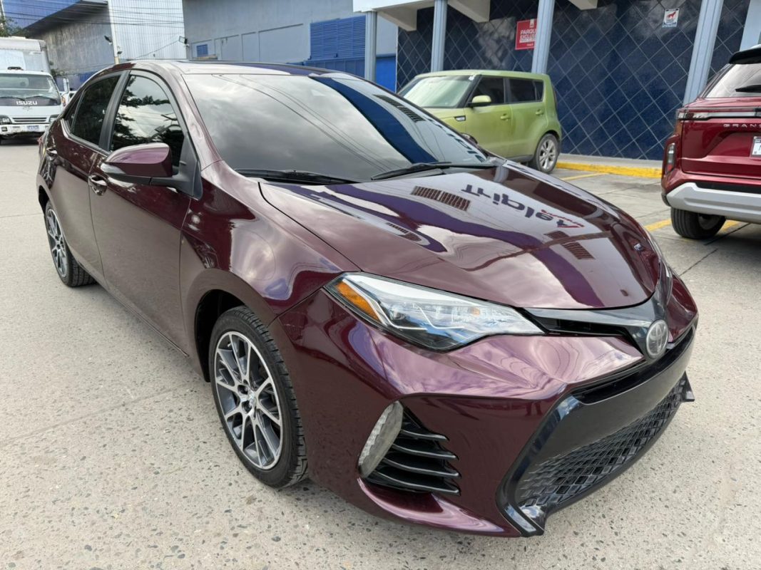 WhatsApp Image 2026-02-05 at 3.41.26 PM (2)