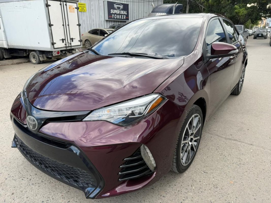 WhatsApp Image 2026-02-05 at 3.41.26 PM