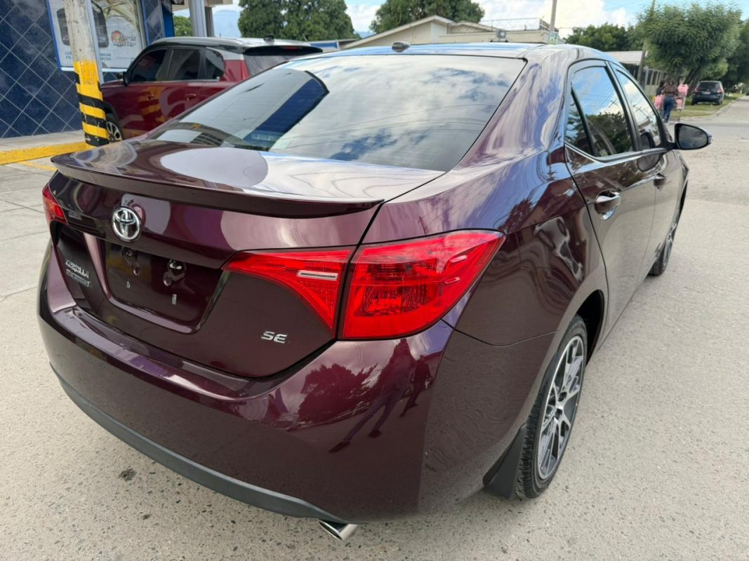 WhatsApp Image 2026-02-05 at 3.41.27 PM (2)