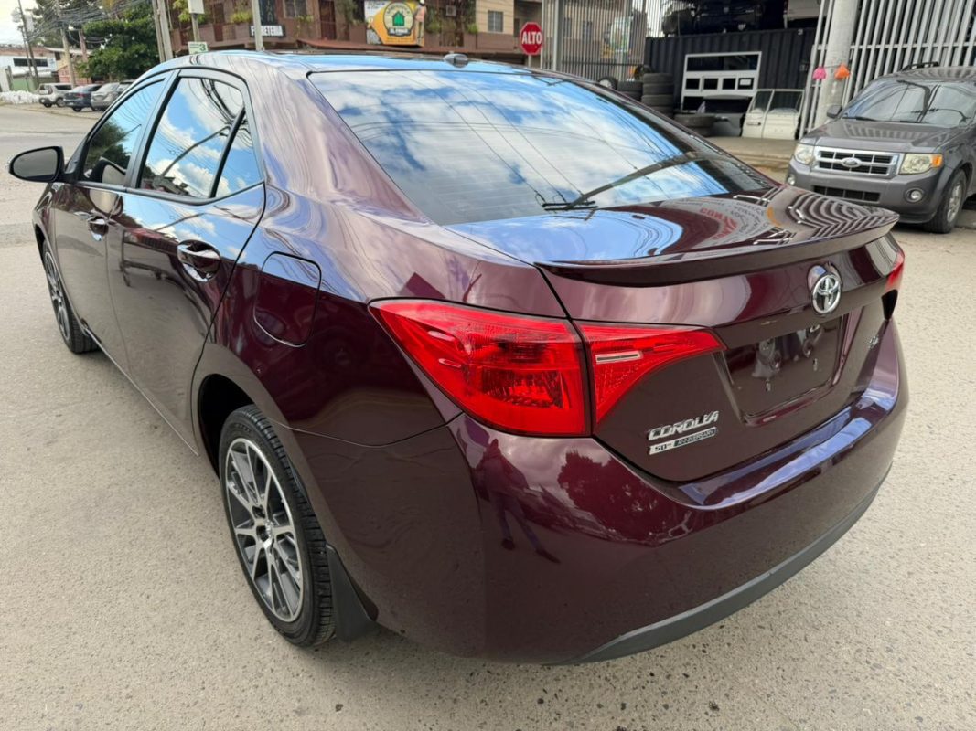 WhatsApp Image 2026-02-05 at 3.41.27 PM