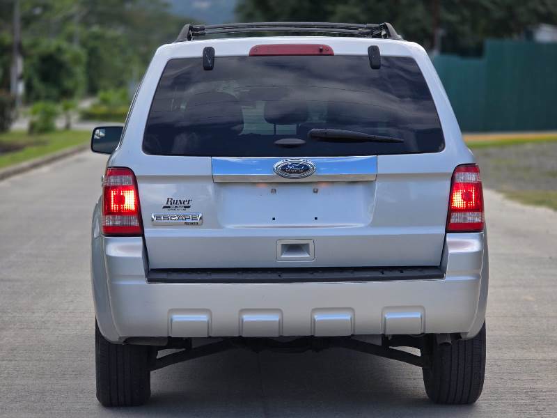 WhatsApp Image 2026-02-05 at 3.42.33 PM (1)