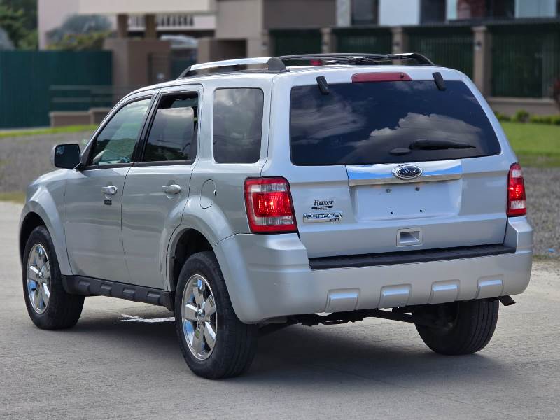 WhatsApp Image 2026-02-05 at 3.42.33 PM (2)