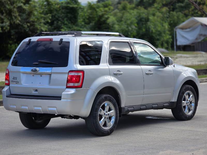 WhatsApp Image 2026-02-05 at 3.42.33 PM