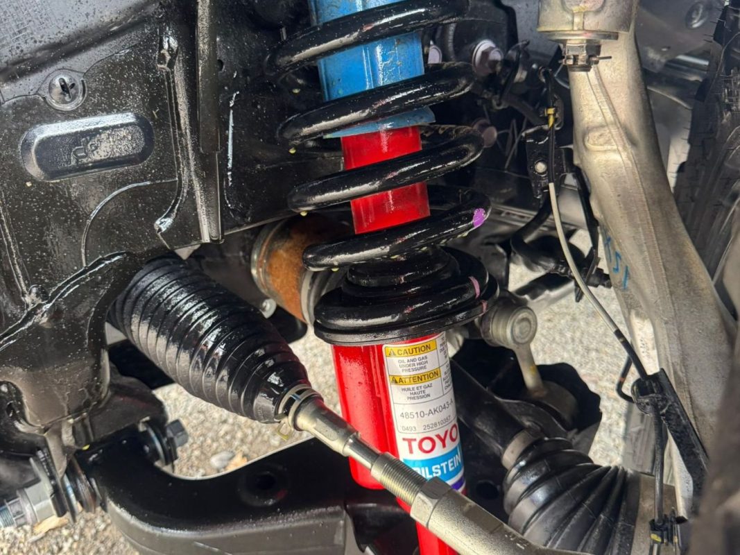 WhatsApp Image 2026-02-05 at 4.42.49 PM (2)