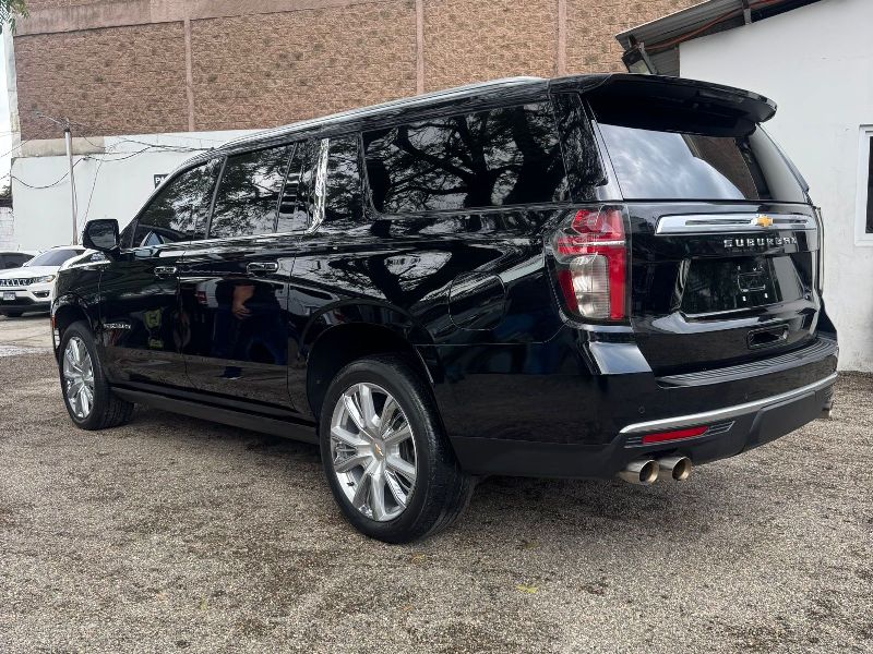 WhatsApp Image 2026-02-06 at 5.13.21 PM (2)