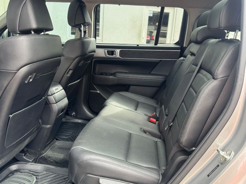 WhatsApp Image 2026-02-06 at 5.15.06 PM (3)