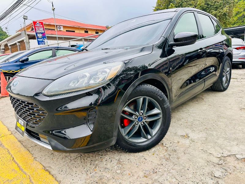 WhatsApp Image 2026-02-07 at 1.06.18 PM