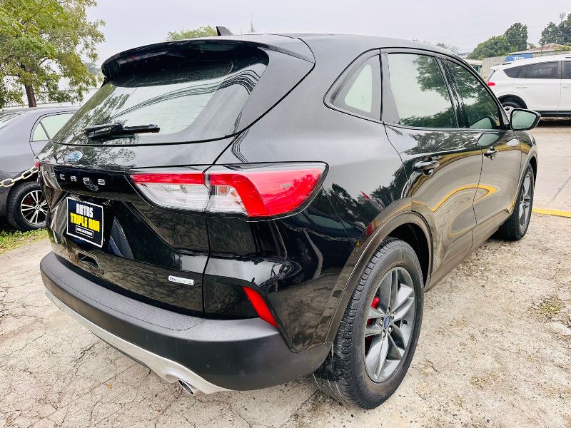 WhatsApp Image 2026-02-07 at 1.06.19 PM (2)