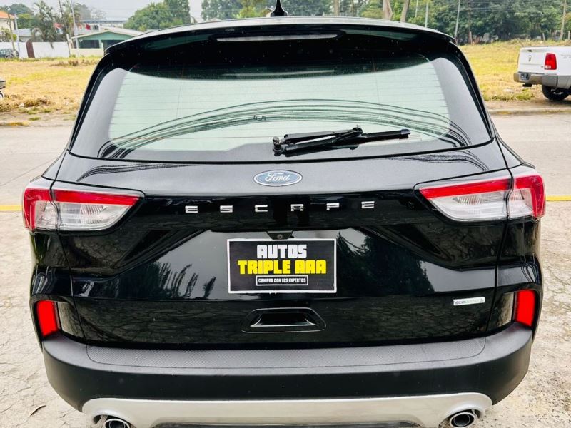 WhatsApp Image 2026-02-07 at 1.06.19 PM (3)