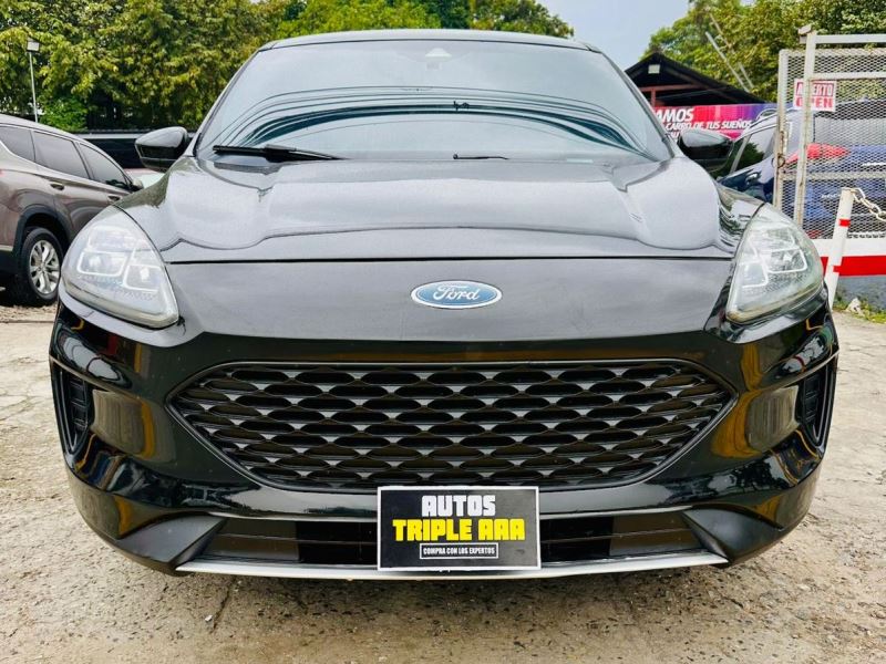 WhatsApp Image 2026-02-07 at 1.06.19 PM