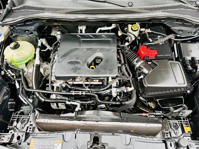 WhatsApp Image 2026-02-07 at 1.06.21 PM