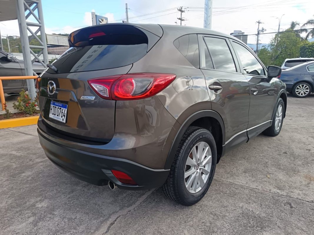 WhatsApp Image 2026-02-07 at 10.52.16 AM (2)