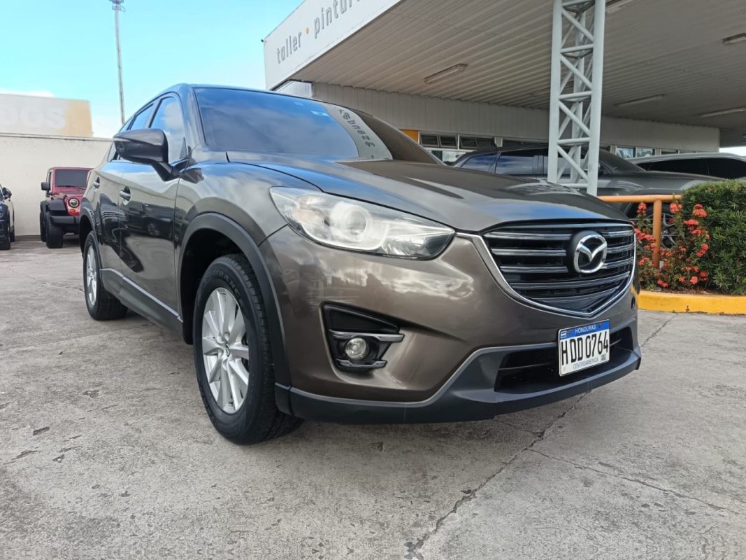 WhatsApp Image 2026-02-07 at 10.52.16 AM