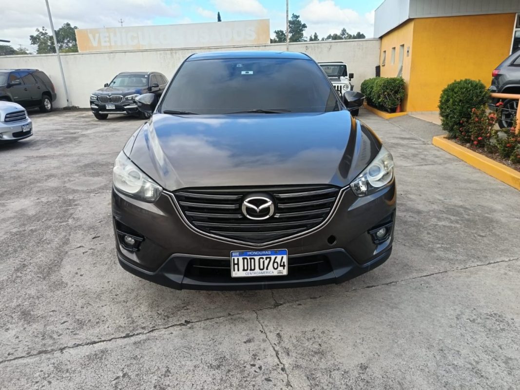 WhatsApp Image 2026-02-07 at 10.52.17 AM (1)