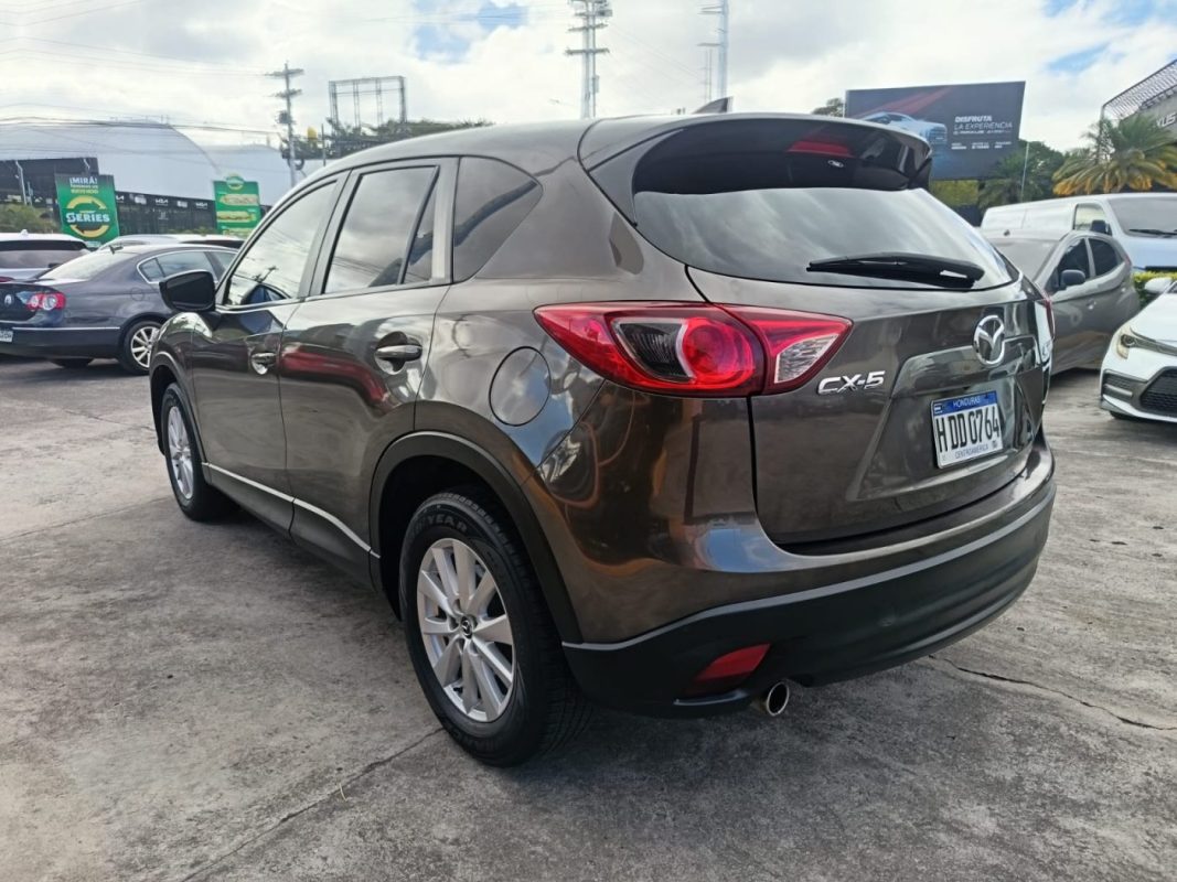 WhatsApp Image 2026-02-07 at 10.52.17 AM