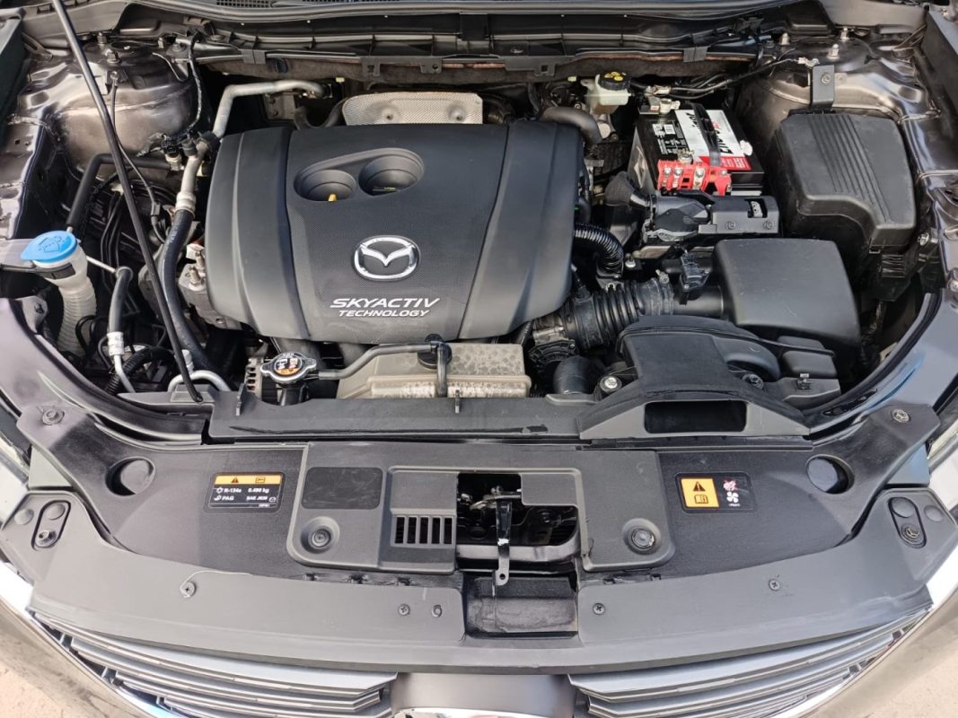 WhatsApp Image 2026-02-07 at 10.52.18 AM