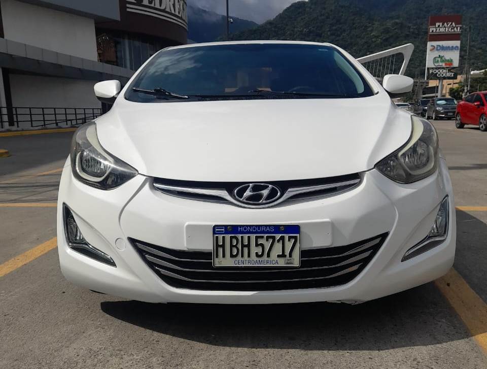 WhatsApp Image 2026-02-07 at 12.33.26 PM