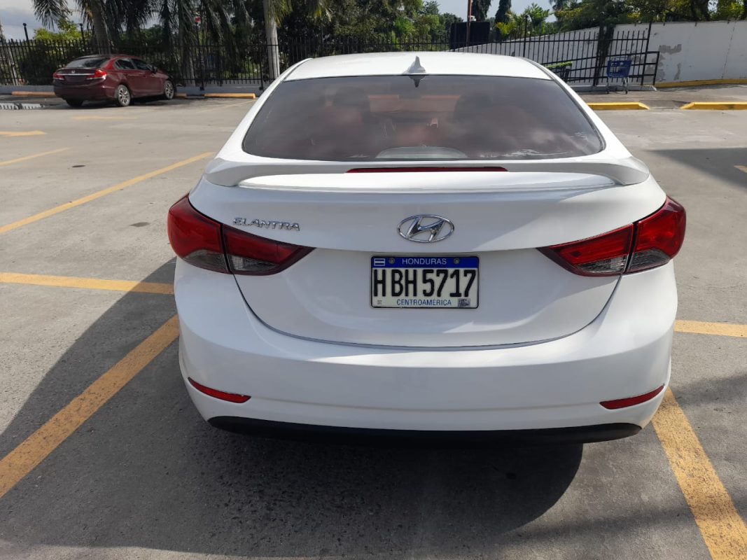 WhatsApp Image 2026-02-07 at 12.33.28 PM