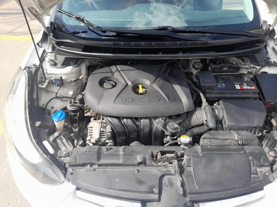 WhatsApp Image 2026-02-07 at 12.33.36 PM