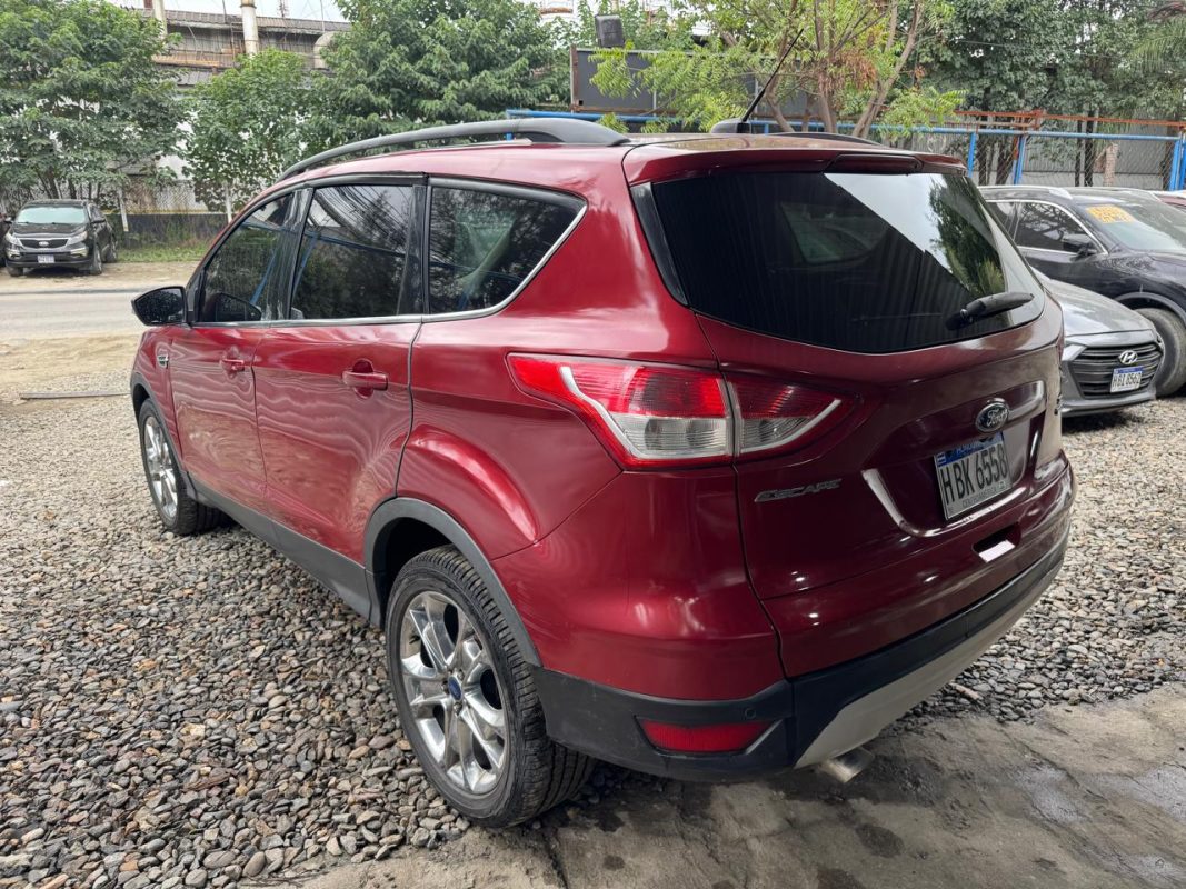 WhatsApp Image 2026-02-07 at 3.46.23 PM (2)