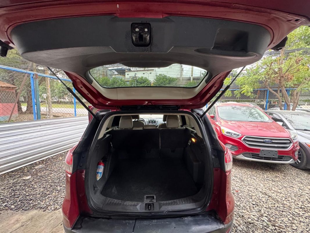 WhatsApp Image 2026-02-07 at 3.46.23 PM (4)