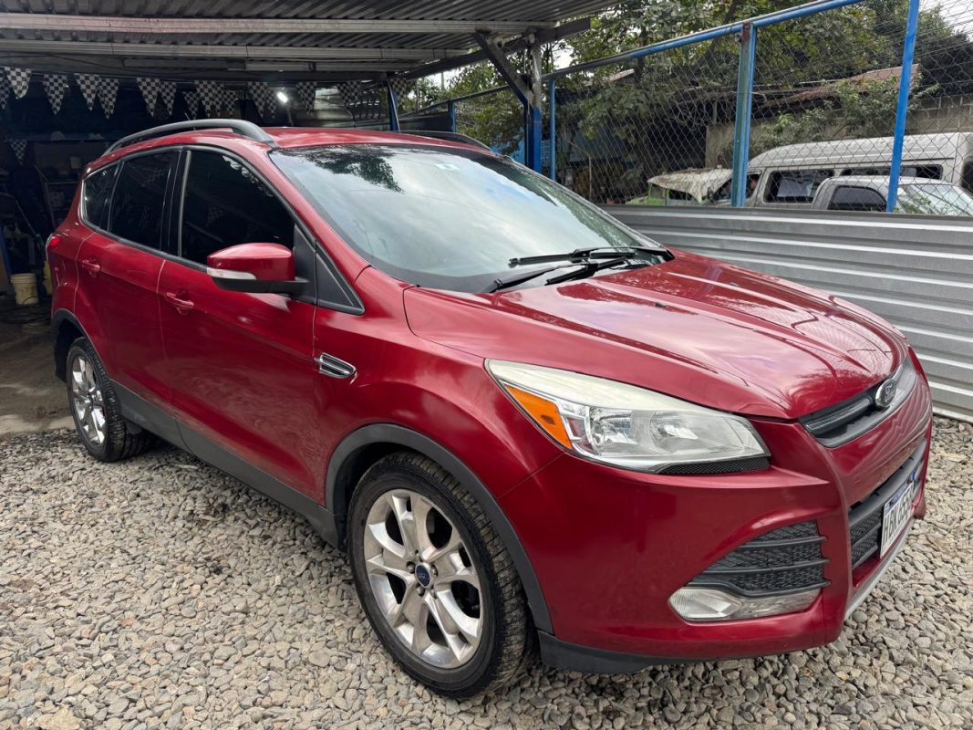 WhatsApp Image 2026-02-07 at 3.46.23 PM