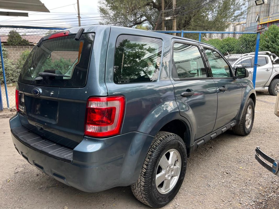 WhatsApp Image 2026-02-07 at 4.49.30 PM (2)