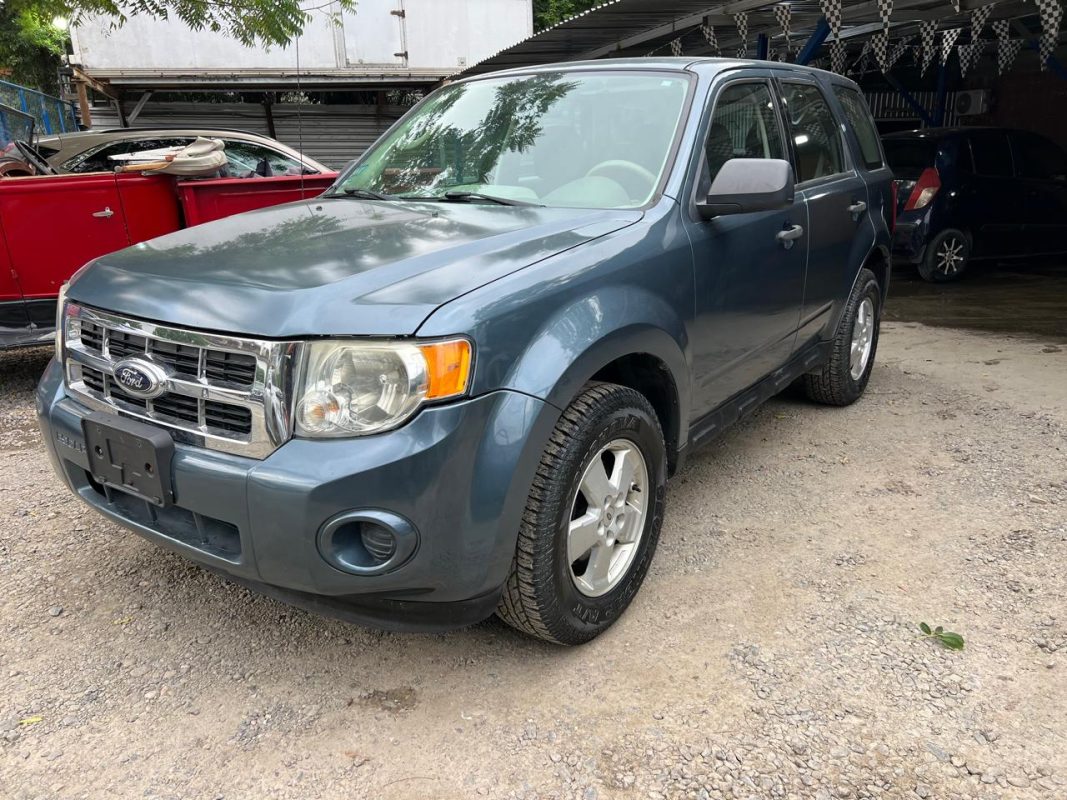 WhatsApp Image 2026-02-07 at 4.49.30 PM