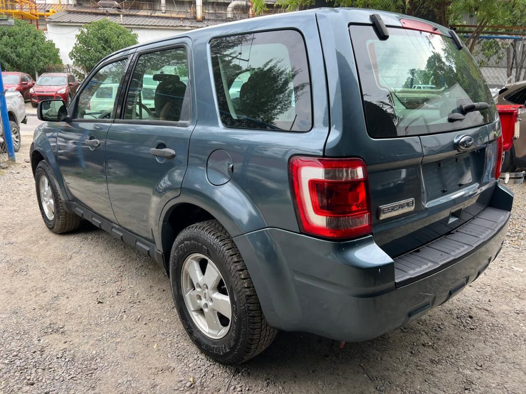 WhatsApp Image 2026-02-07 at 4.49.31 PM