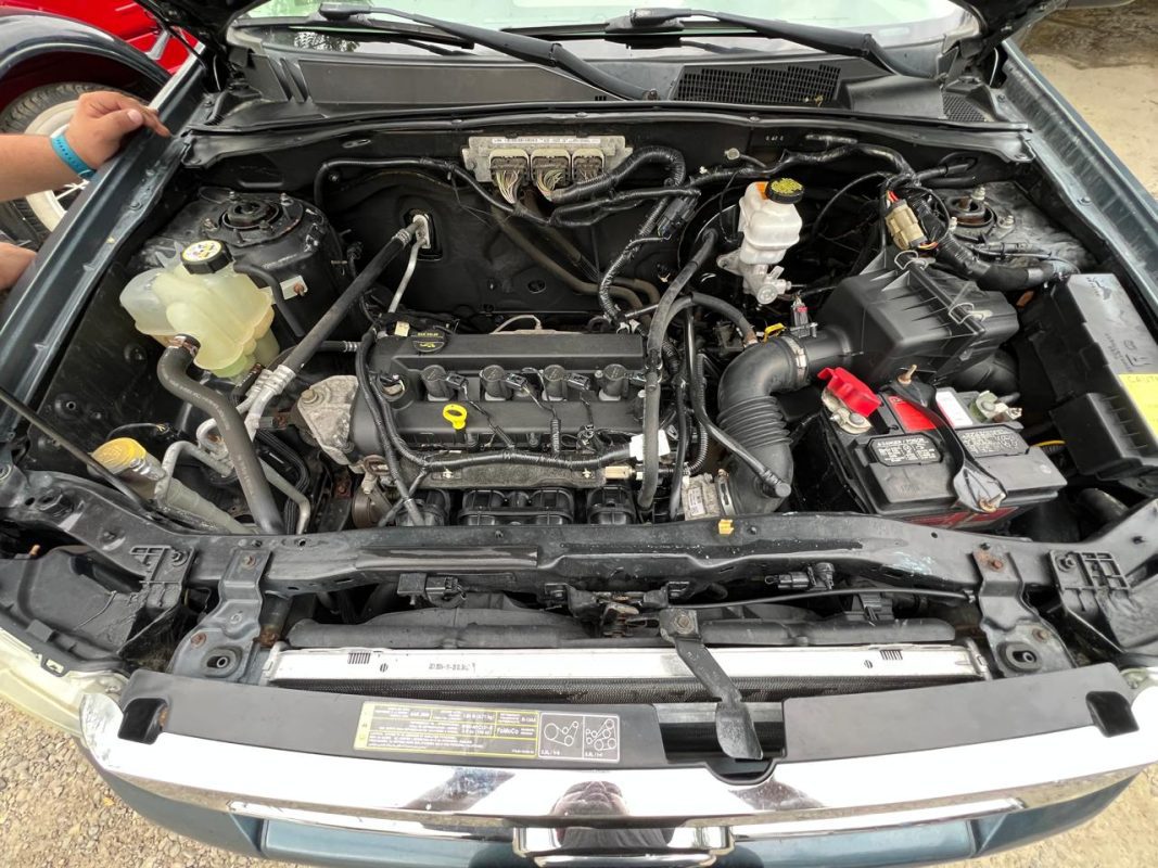 WhatsApp Image 2026-02-07 at 4.49.32 PM (1)