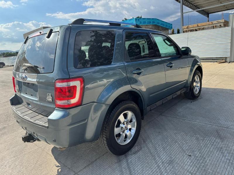 WhatsApp Image 2026-02-08 at 11.13.59 PM