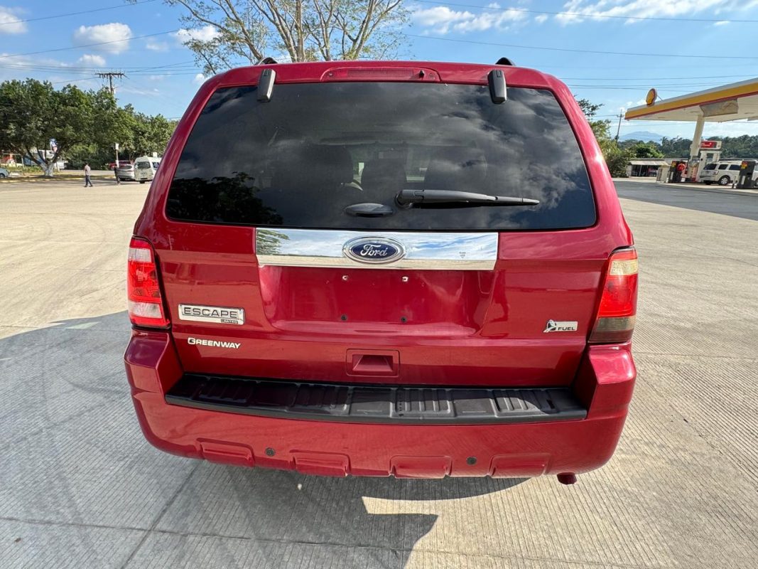 WhatsApp Image 2026-02-08 at 11.15.40 PM (3)