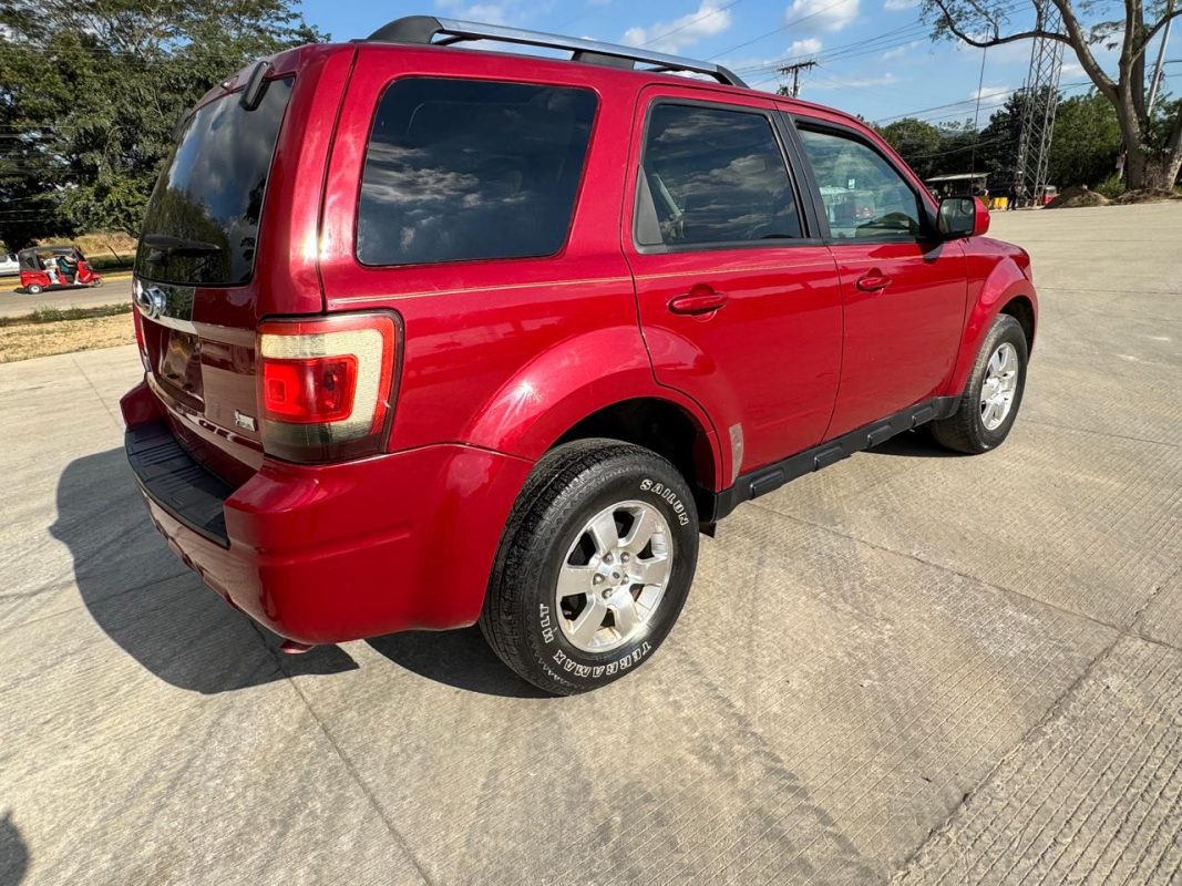 WhatsApp Image 2026-02-08 at 11.15.40 PM