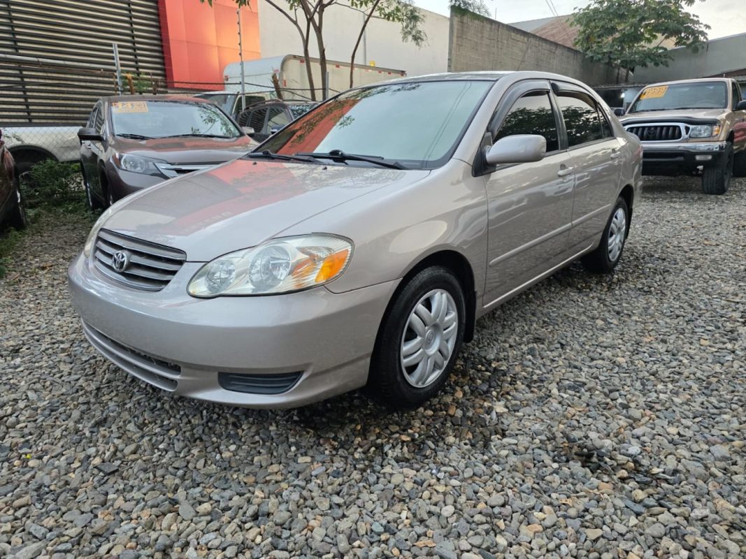 WhatsApp Image 2026-02-08 at 3.04.55 PM (1)