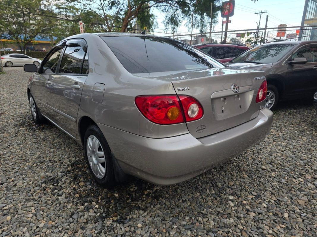 WhatsApp Image 2026-02-08 at 3.04.55 PM (2)