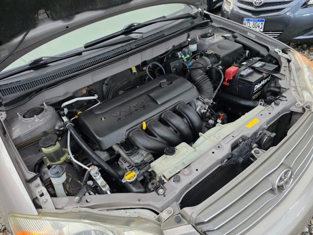 WhatsApp Image 2026-02-08 at 3.04.56 PM (2)