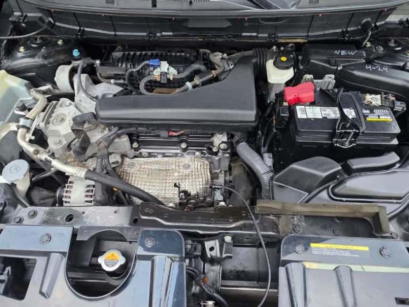 WhatsApp Image 2026-02-09 at 12.12.53 PM (1)