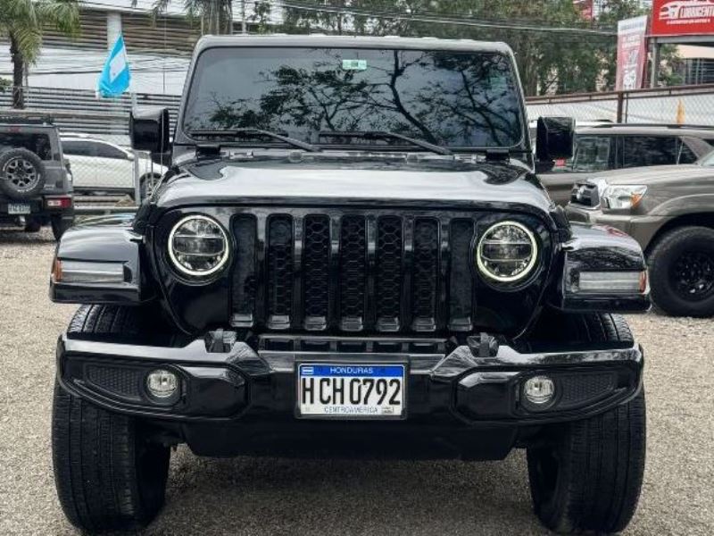 WhatsApp Image 2026-02-10 at 11.18.37 AM