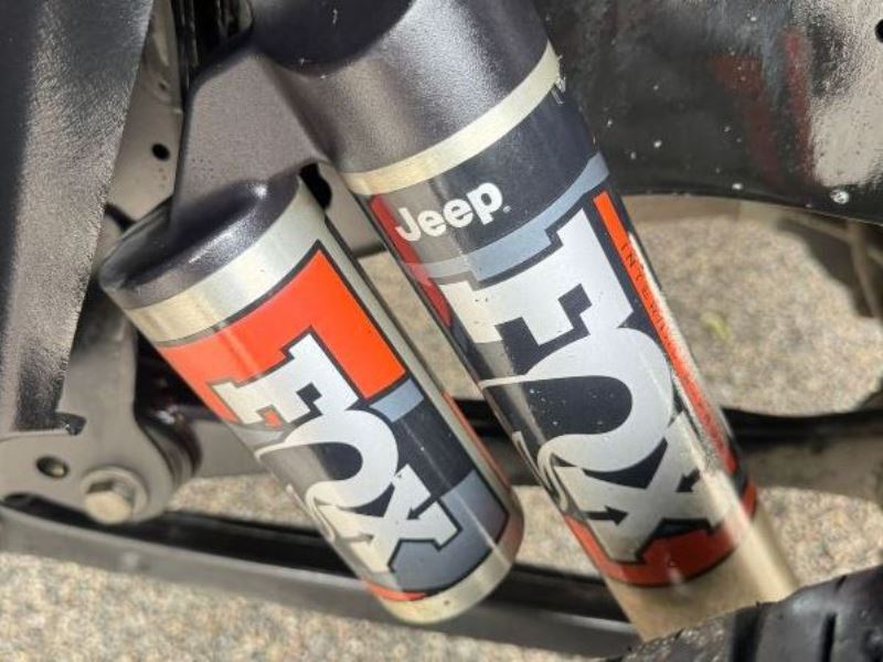 WhatsApp Image 2026-02-10 at 11.18.38 AM (1)