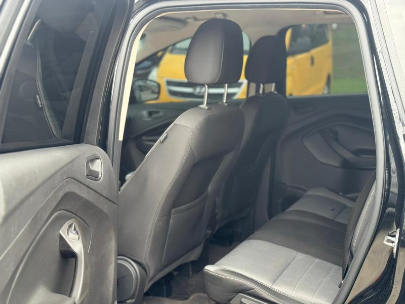 WhatsApp Image 2026-02-10 at 3.15.06 PM (1)