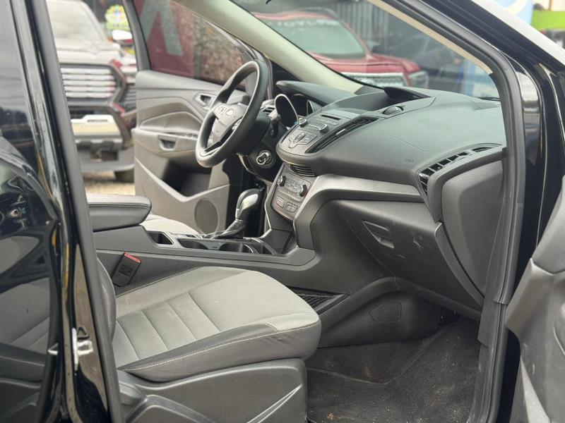 WhatsApp Image 2026-02-10 at 3.15.06 PM (3)