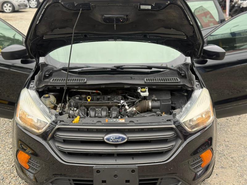 WhatsApp Image 2026-02-10 at 3.15.09 PM