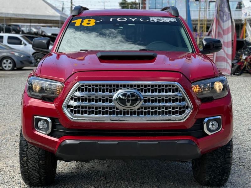 WhatsApp Image 2026-02-10 at 3.16.24 PM (2)